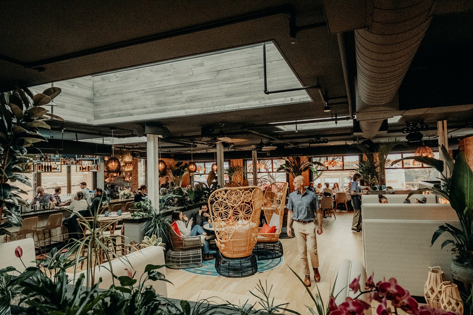 Interior of a lively restaurant with people dining, dining tables, green plants, wicker chairs, hanging pendant lights, and large windows and skylights with natural light.