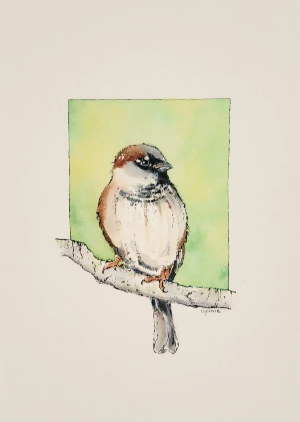 Common House Sparrow 10" x 8" matted. $60