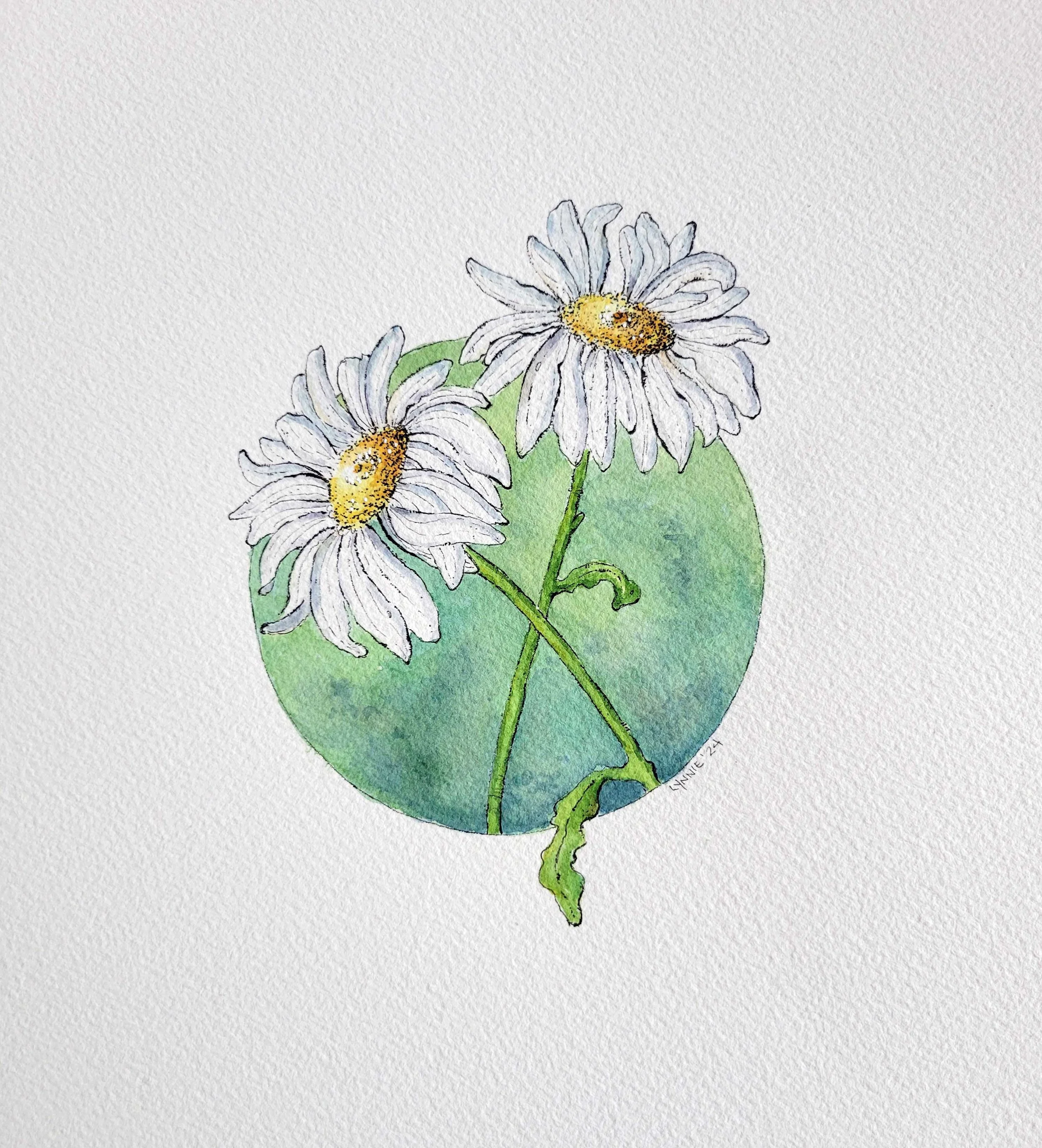 Daisy Day 17" x 14" framed. $150