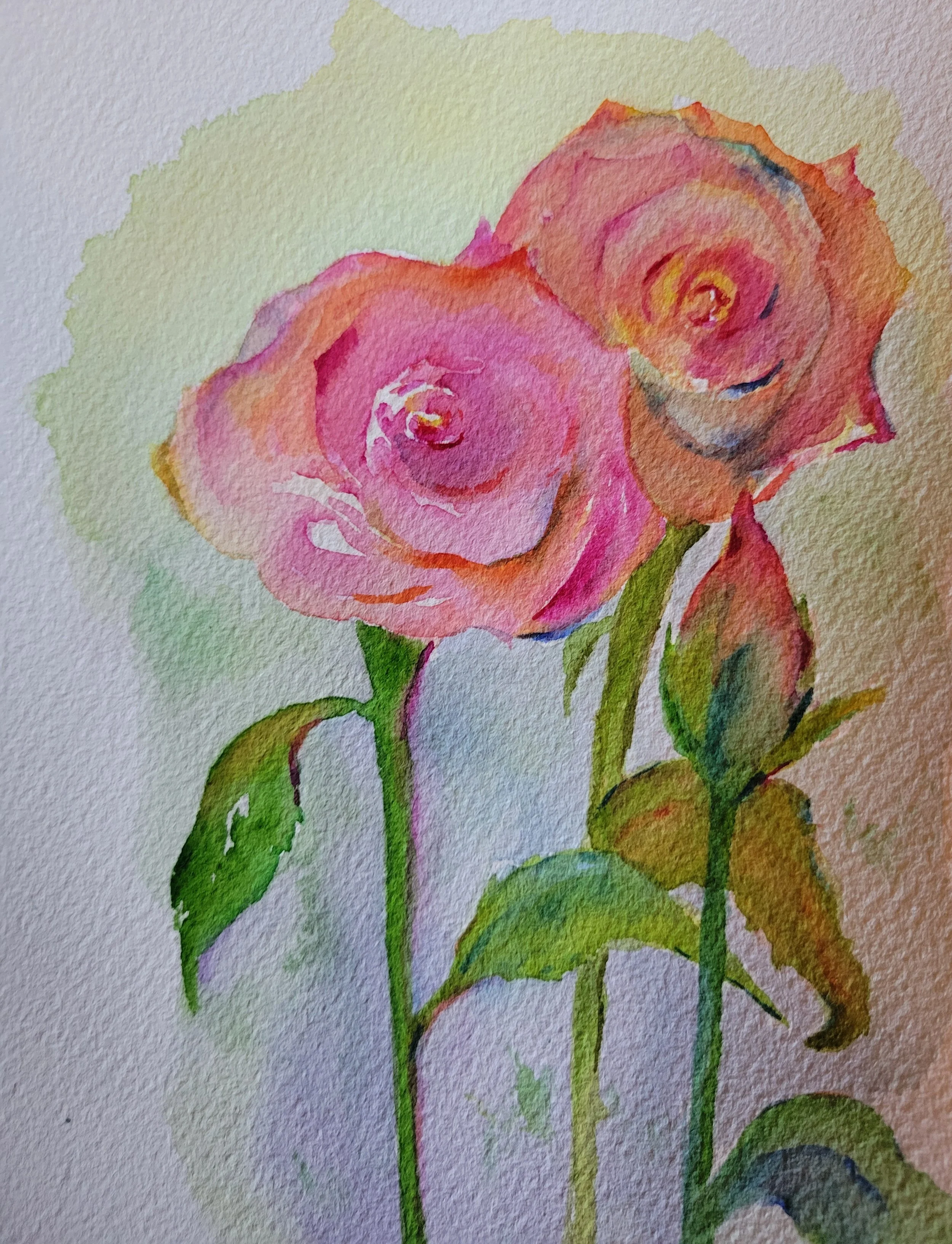 Joyful Roses 10" x 8" matted. $60