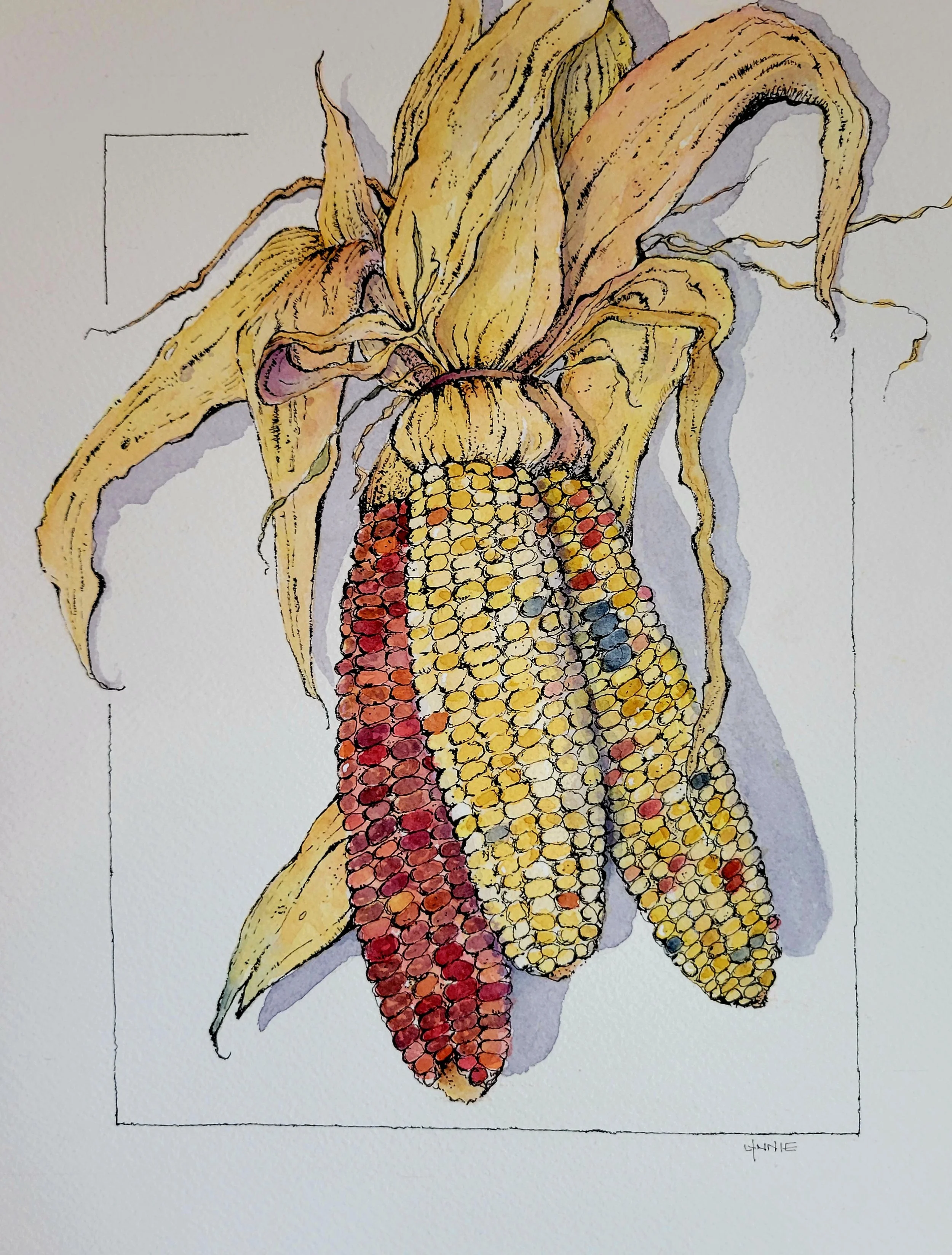 Flint Corn 17" x 12" framed. $120