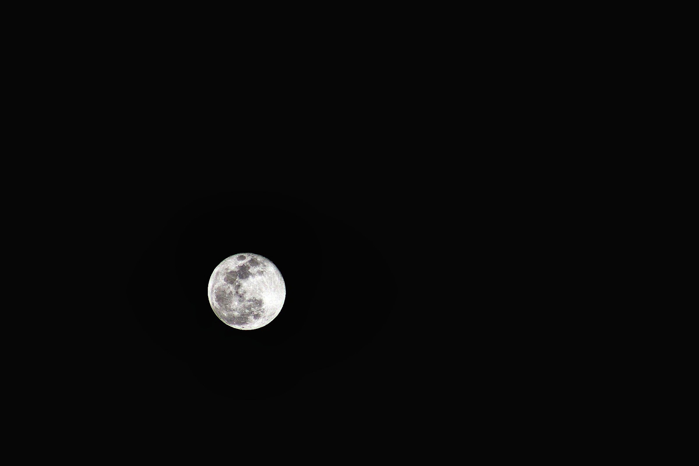 The Moon’s pale surface against a dark night sky.