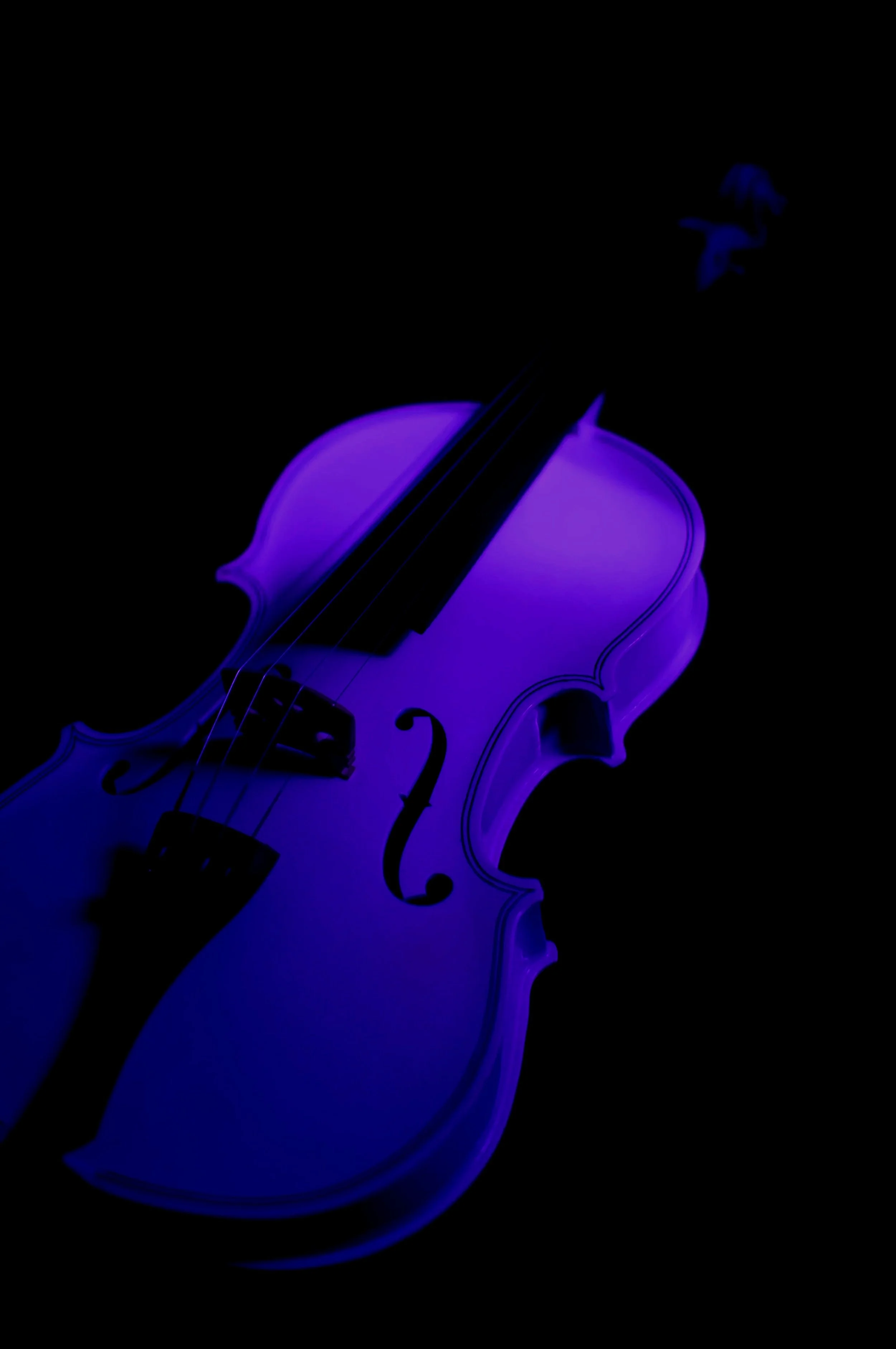 Close-up of a violin and bow.