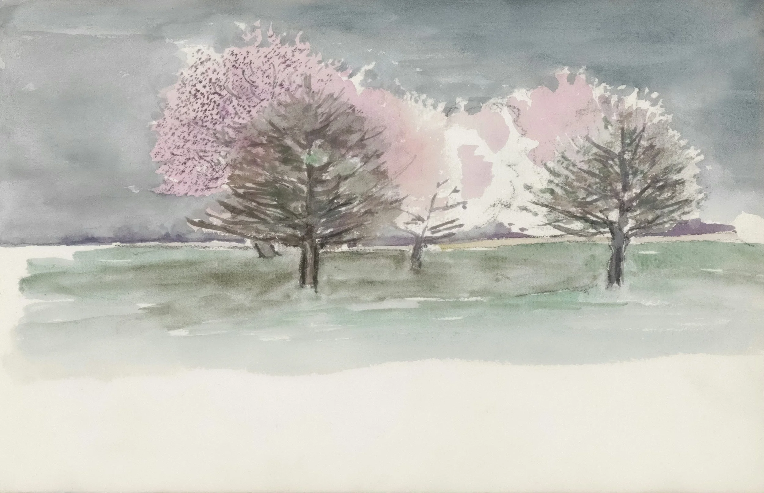 photo-1750330079946-4accf63bbeb1 (1).jpeg