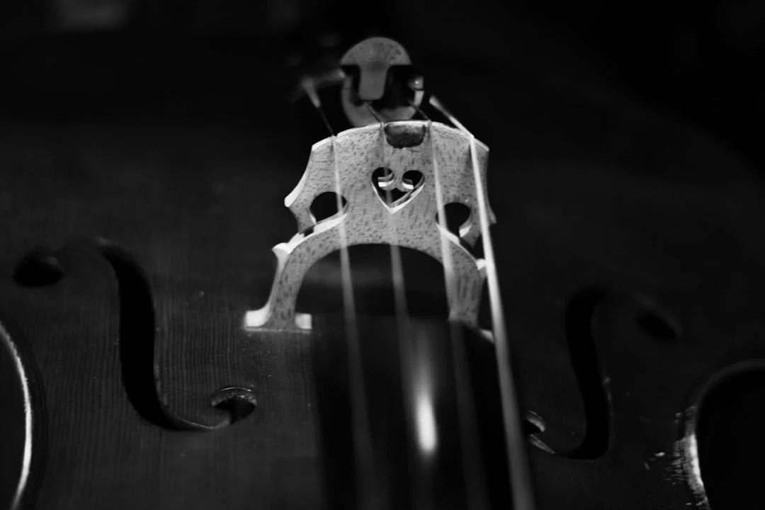 Black-and-white close-up of cello strings crossing the bridge.