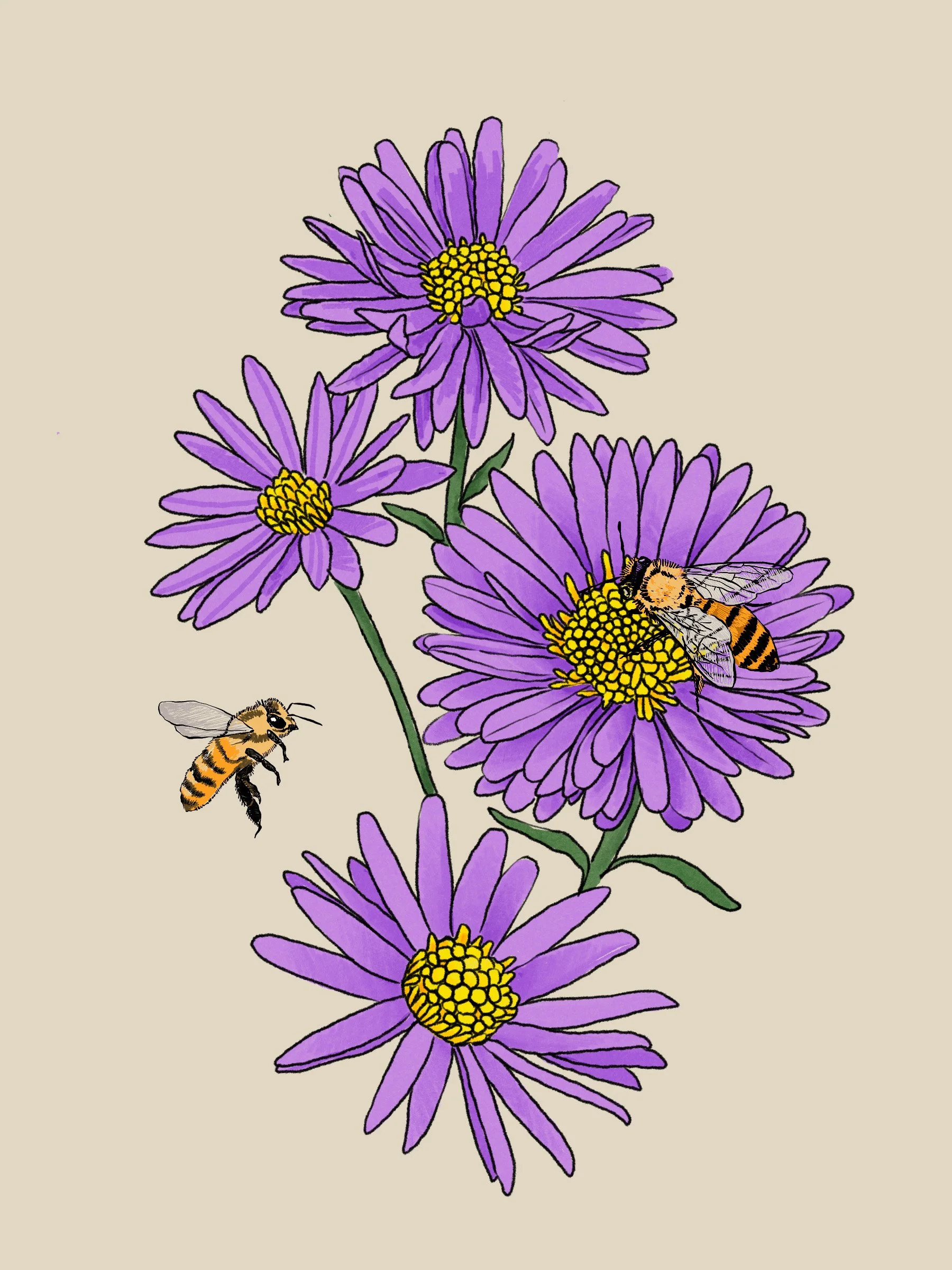 2607_vesper_bee spot.jpg