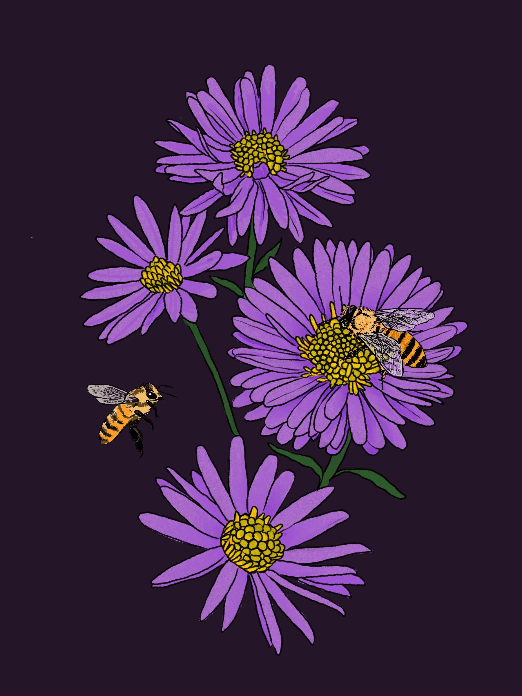 2607_vesper_bee spot.jpg
