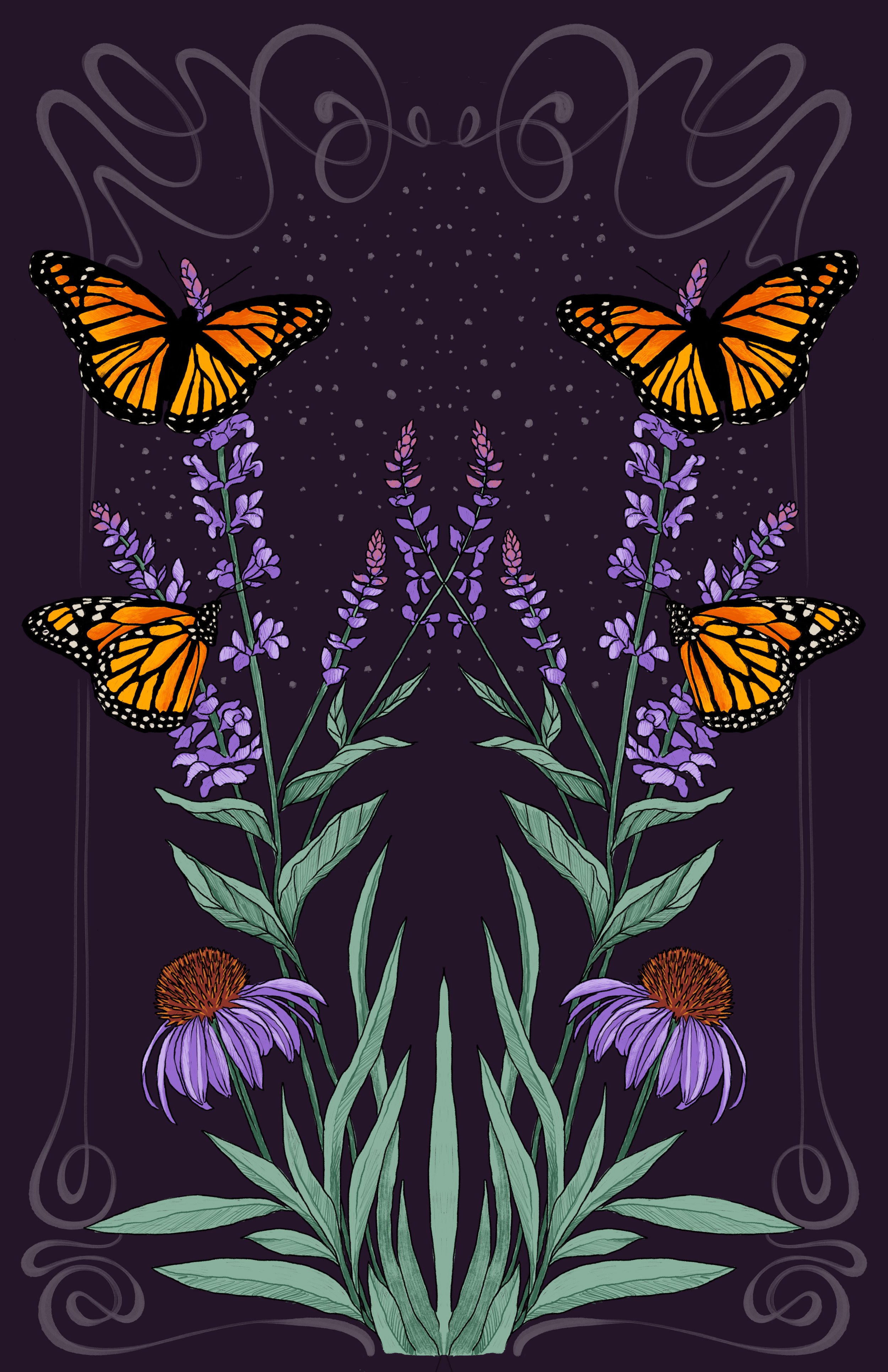 2607a_vesper_monarch hero.jpg