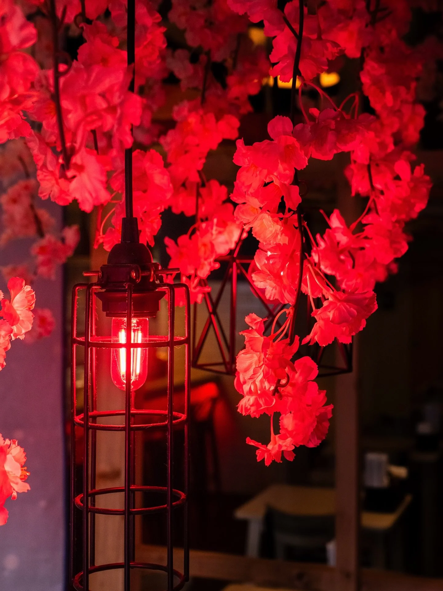 Where the glow meets the pour 🍶✨
Step into the warm glow of Izakaya Ryu and unwind under our cherry blossoms🌸 Your next favorite night starts here.

#IzakayaRyu #ColumbusFoodies #ColumbusEats #ColumbusRestaurants #ColumbusBars #ColumbusNights #Japa