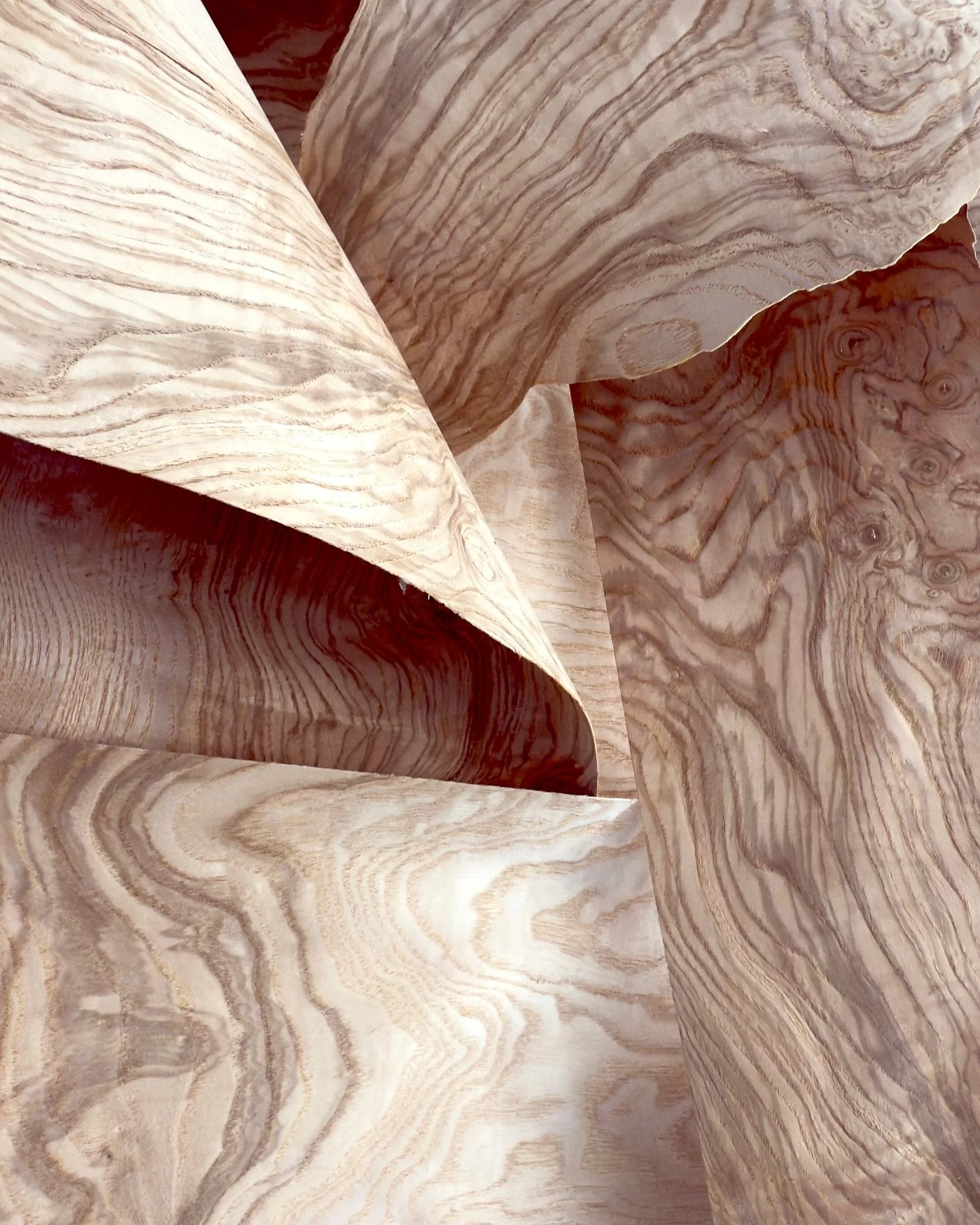 The natural elegance of olive ash burl, sculpted into graceful folds that play with light, depth, and movement. This piece celebrates the tension between form and material&mdash;raw yet refined, still yet dynamic. Scroll through to see its texture, c