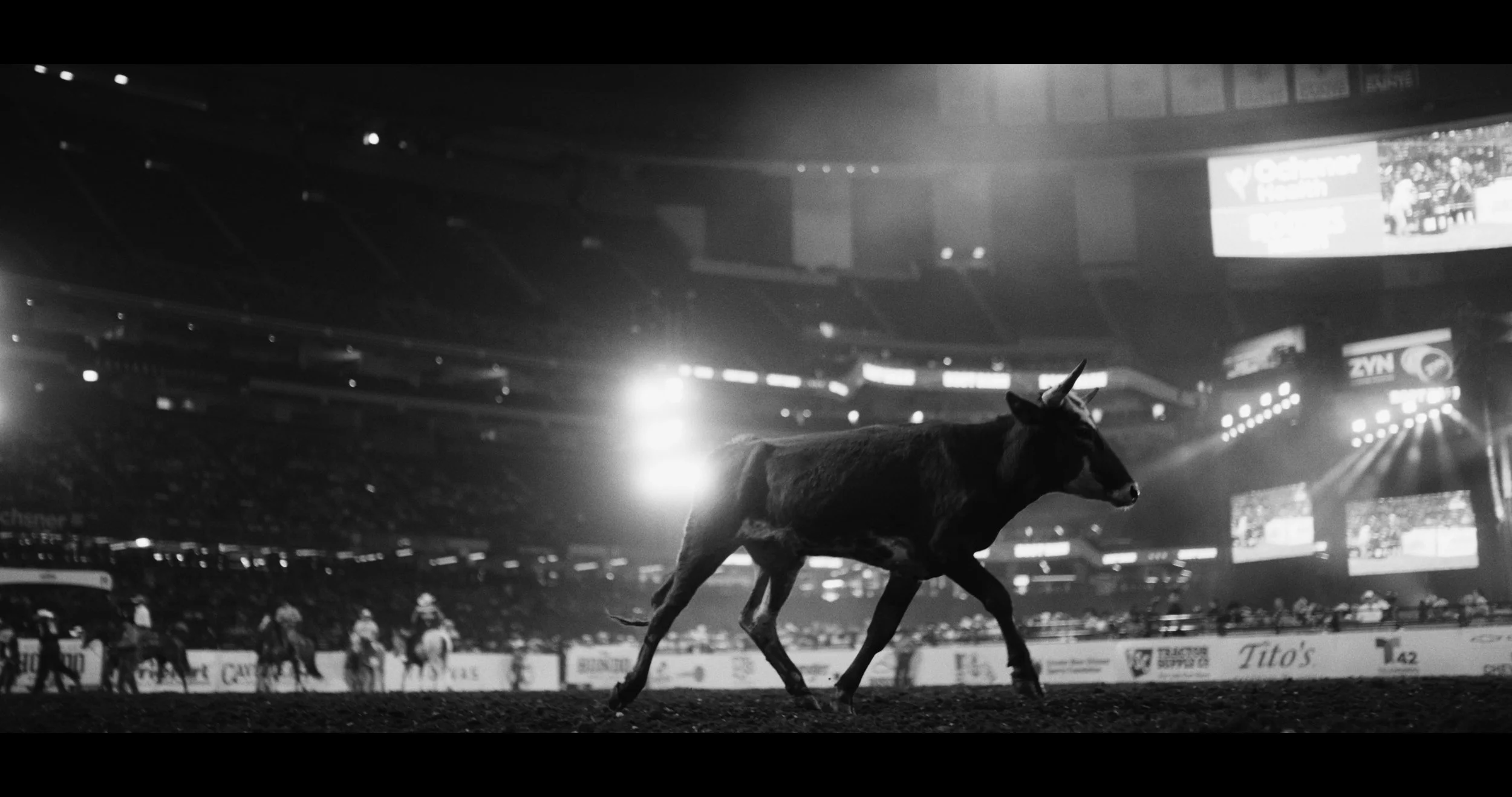 Still 2026-04-15 111130_3.2.2.jpg