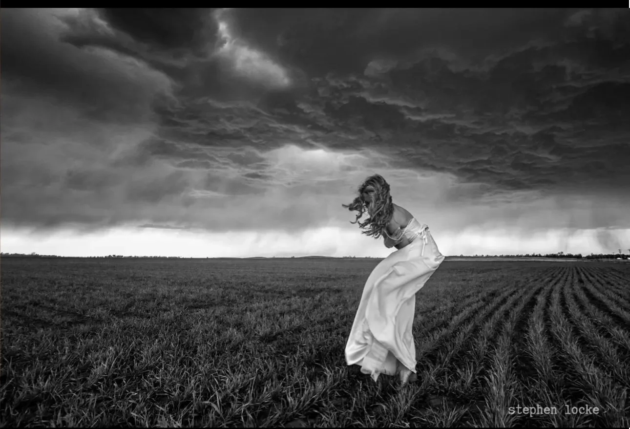 "Runaway Bride" Gallery Collection by Stephen Locke