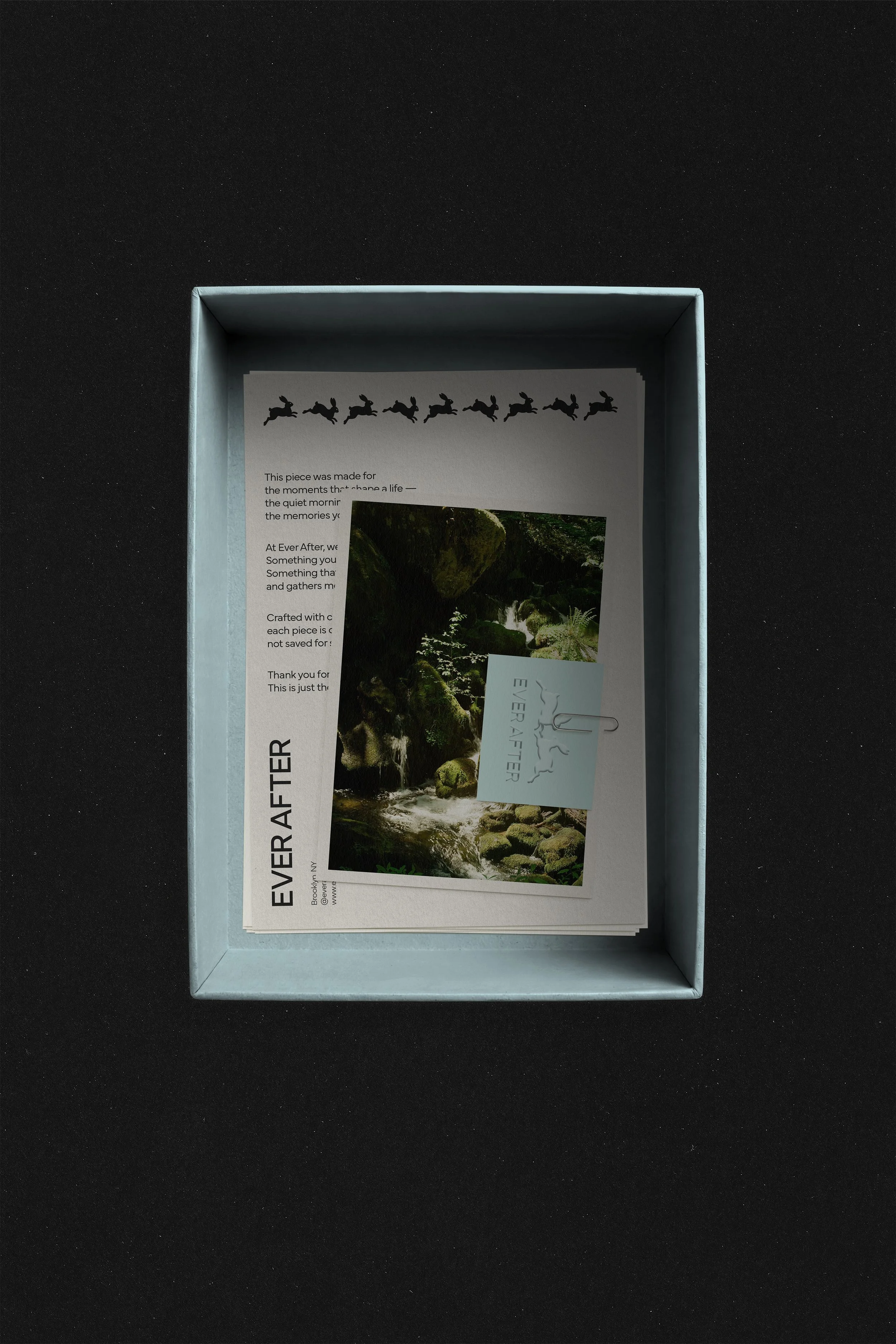 EA BOX INSERTS MOCKUP.jpg