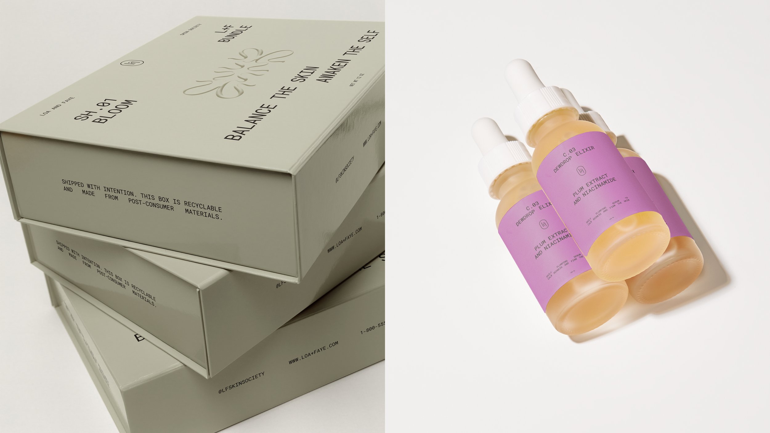 LF PORTFOLIO SLIDES8.jpg