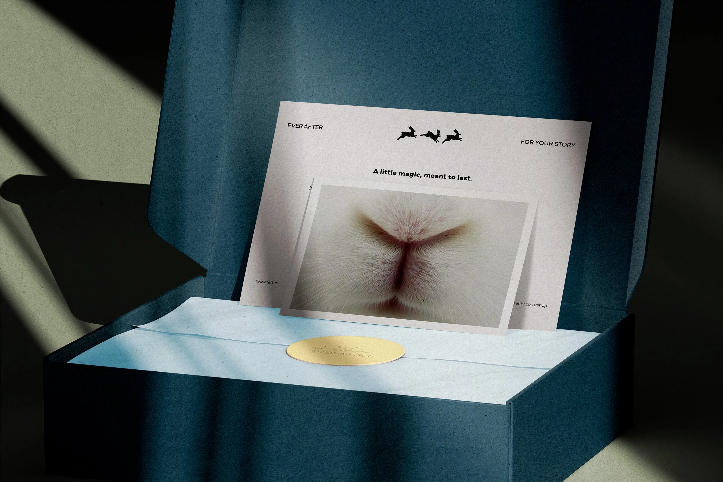 EA OPENED BOX MOCKUP.jpg