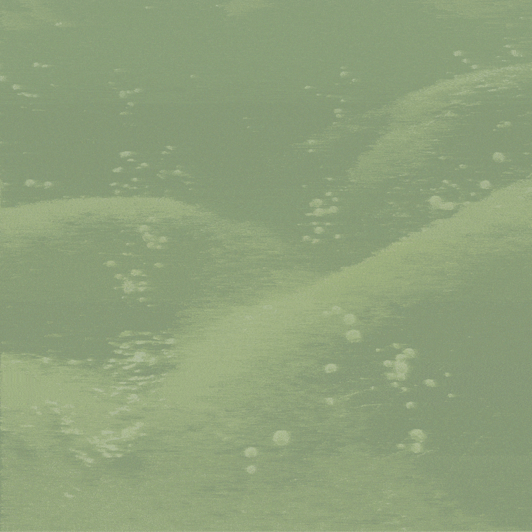 EA BUNNY ANIMATION -3.gif