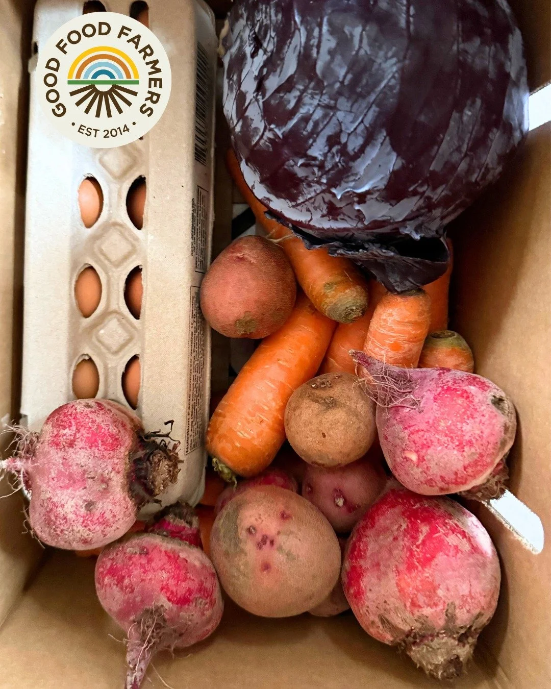 Imagine opening your door to the best organic, locally-grown and produced food. This week there are 80+ items available in our online store, this is just a small example of what could be in your Good Food Farmers box.

We deliver to Westchester Count