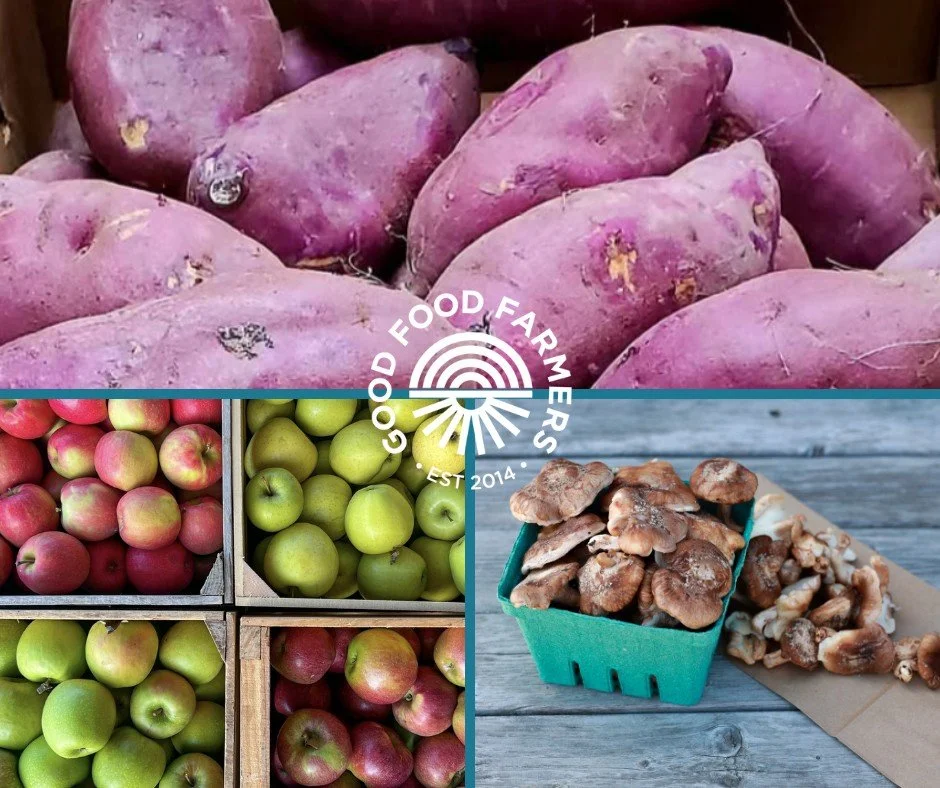 Fresh, organic, locally grown produce delivered to your door in the middle of winter is what our members enjoy.

This week, we&rsquo;re offering Gala apples from Fishkill Farms, along with Honeycrisp and Snapdragon varieties. Morningstar Farm is prov