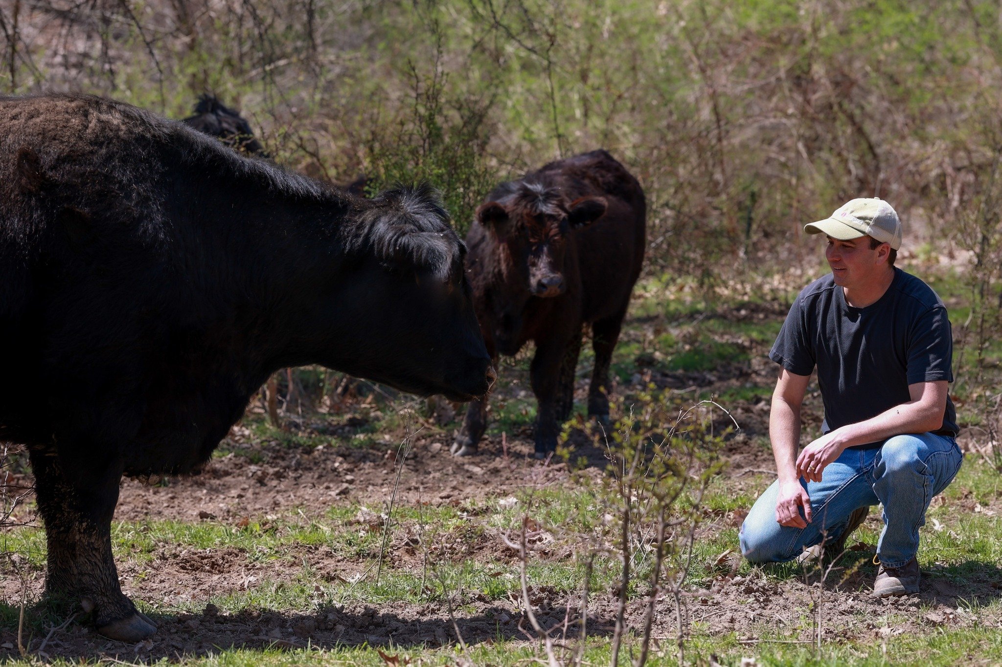 100% grass-fed beef from Dogwood Farm is back in stock.

Currently available:
&bull; Ground beef
&bull; Stew meat
&bull; Hot dogs
&bull; Sausages
&bull; Roasts
&bull; Steaks

If you live in Westchester and want organically grown produce, grass-fed be
