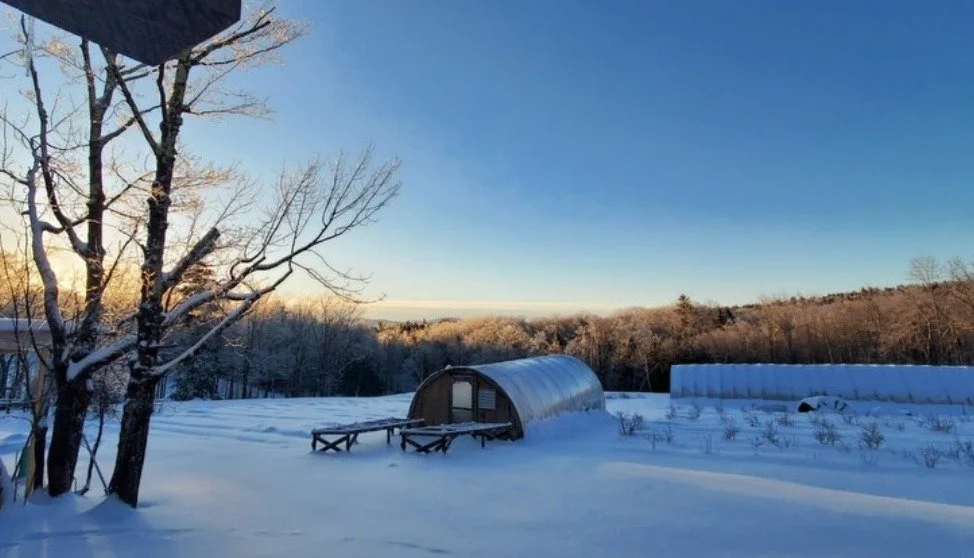A quiet, winter morning on the farm.
