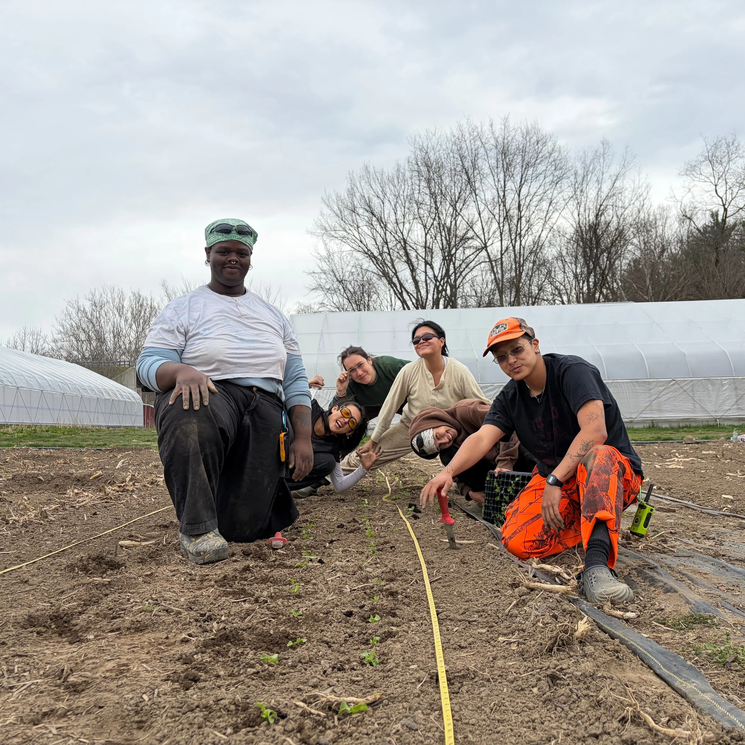 Spring abundance is arriving at Good Food Farmers, and we&rsquo;re especially excited to welcome back Gentle Time Farm for the season. A cooperative farm, led by Kaia Xiao and Salt Wang, Gentle Time specializes in East Asian vegetables grown right in