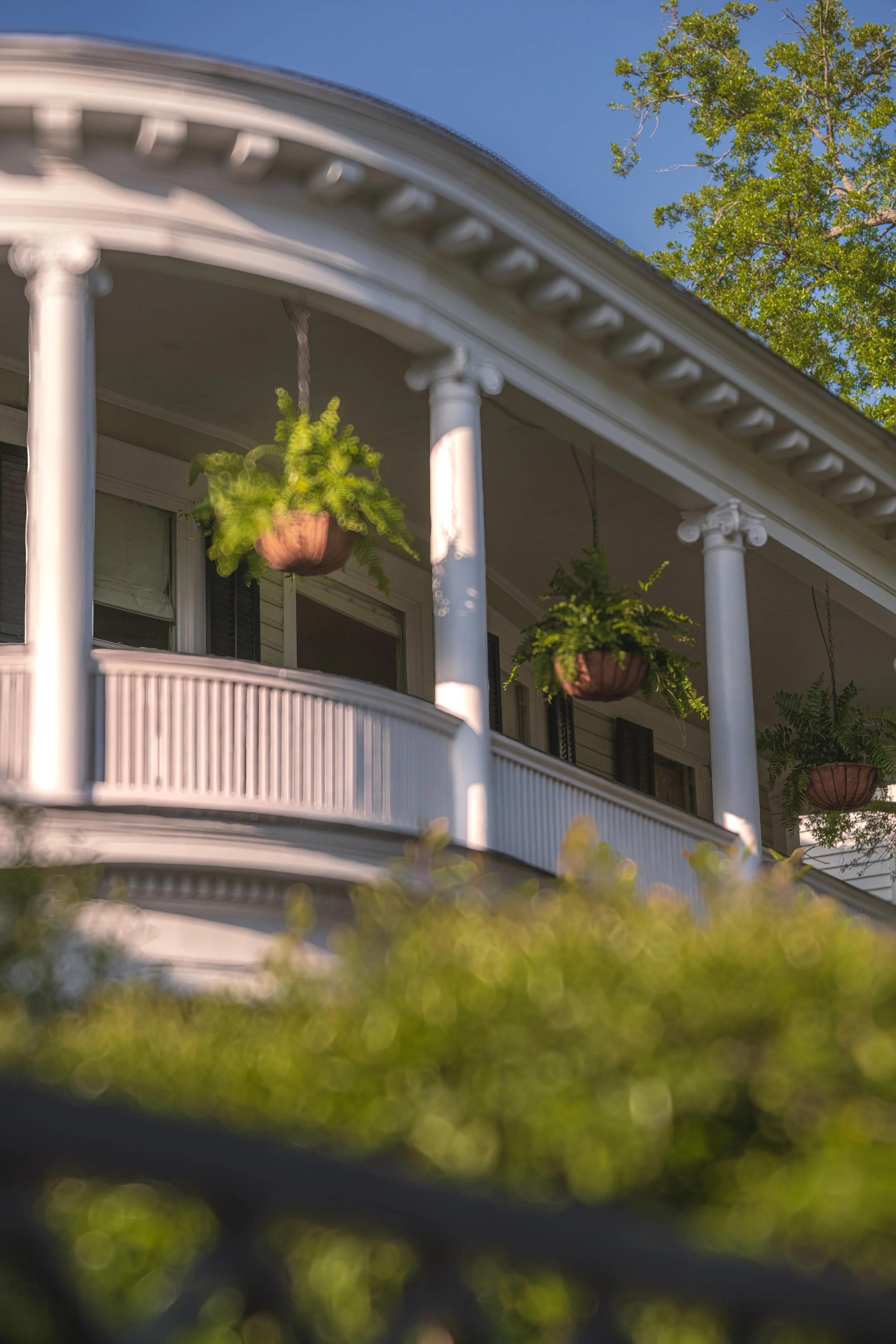 Why More Homeowners Are Choosing to Build Custom Homes in South Carolina