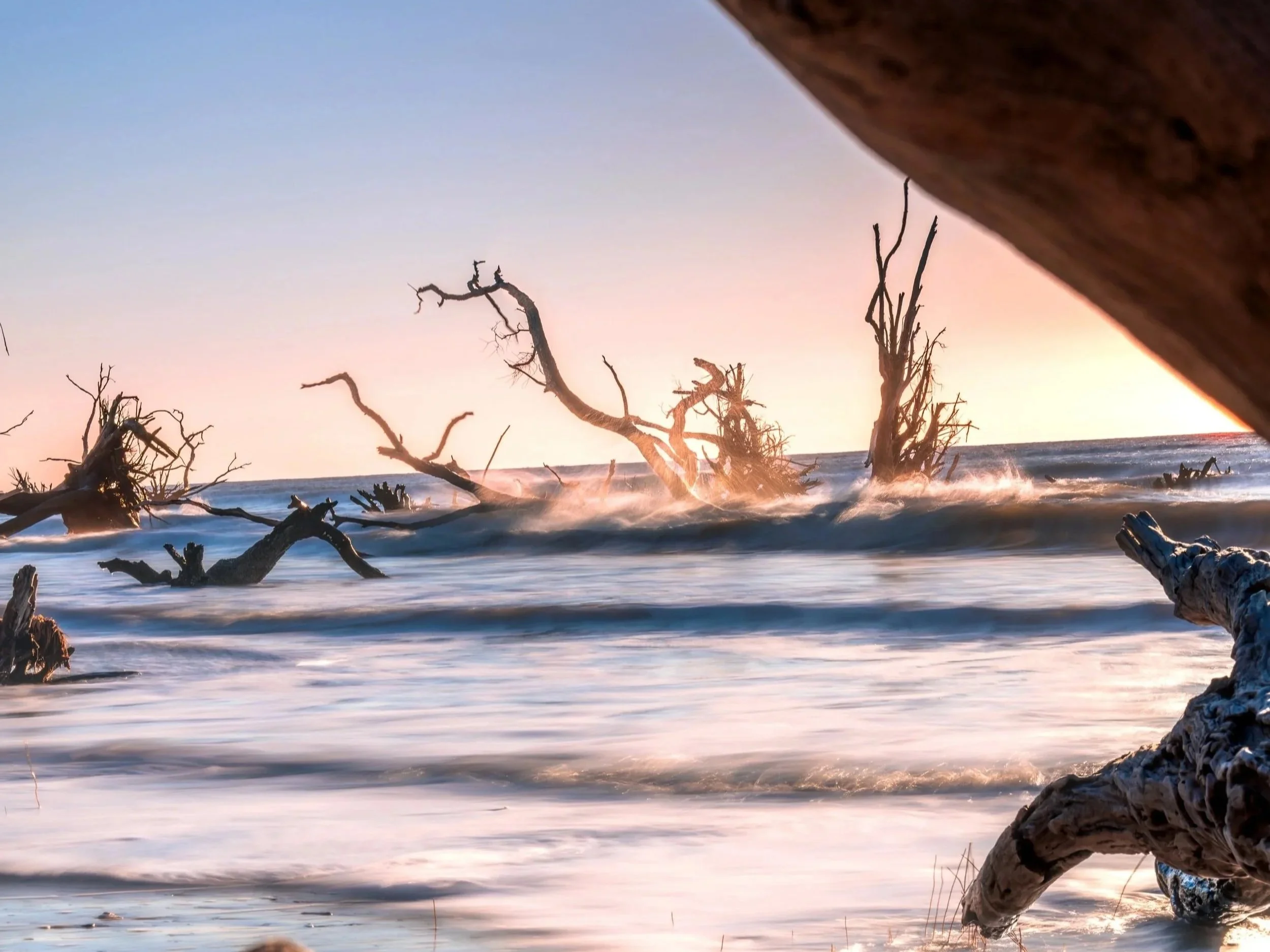 Sunset over the ocean with fallen driftwood and trees in the water.