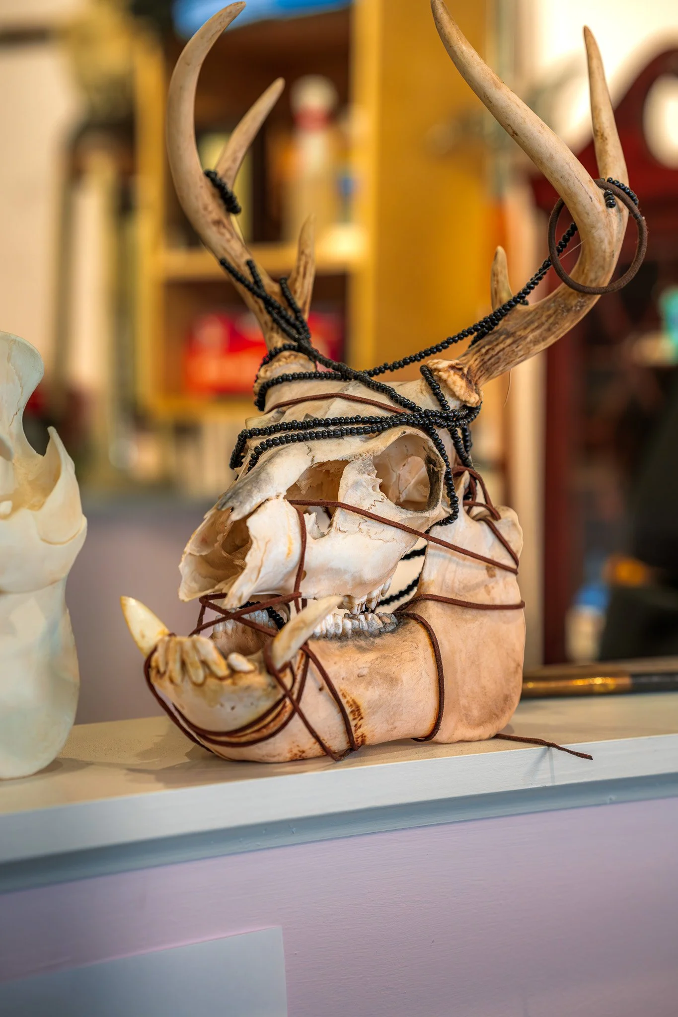 Decorative animal skull with antlers wrapped in black beads and brown string, displayed on a shelf.