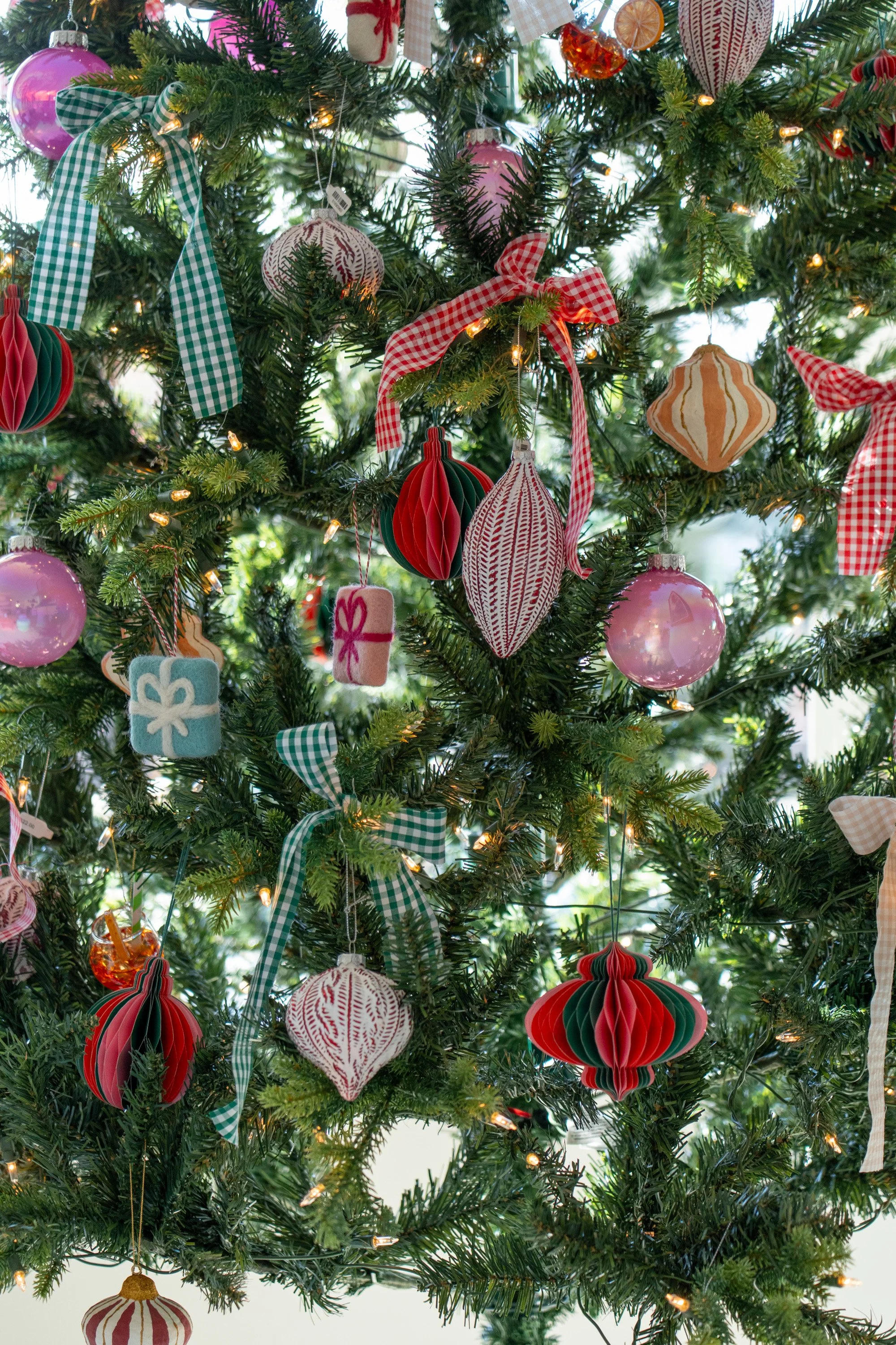 RW_21_11_2025_HiRes-106 (2).jpg