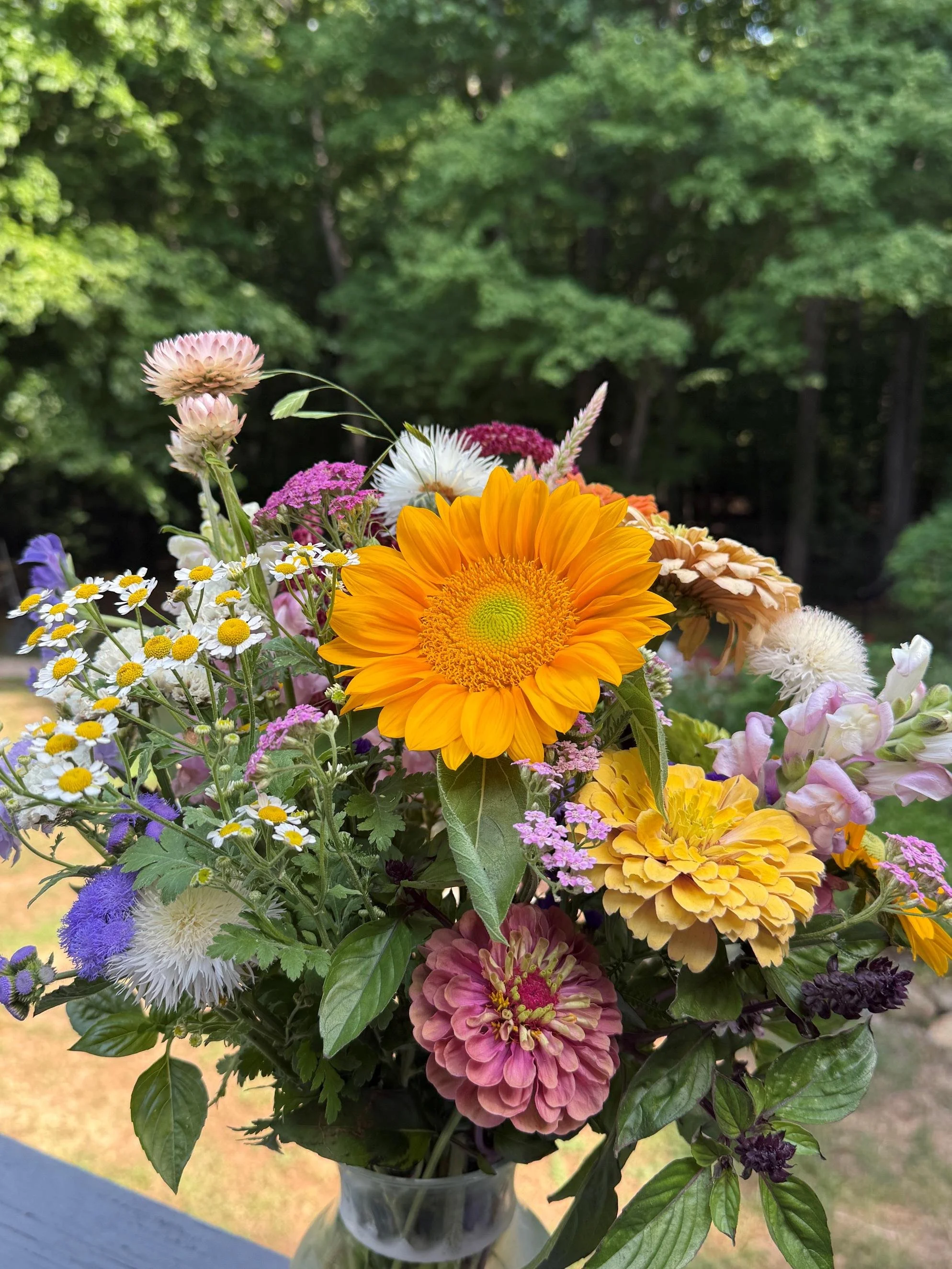 Subscriberbouquet.jpg