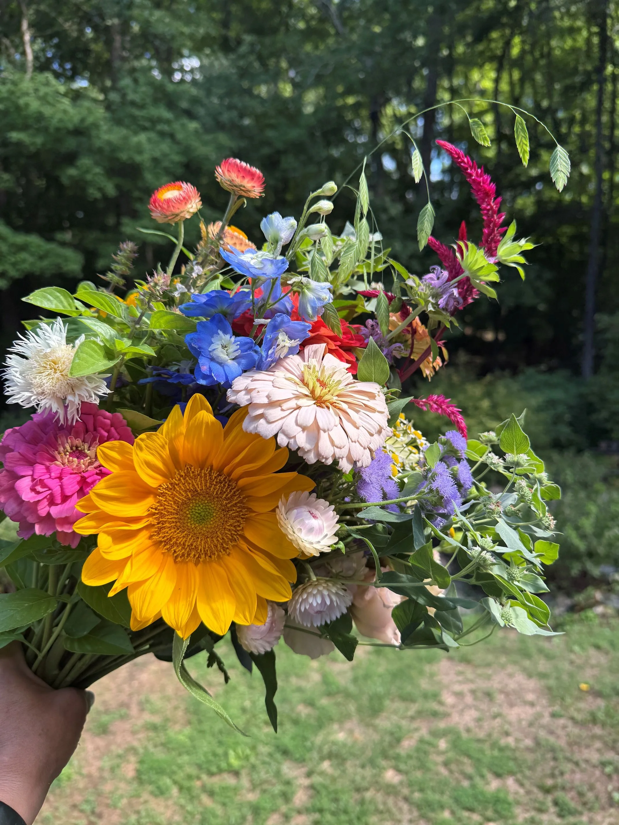 Bouquet02_June302026.JPG