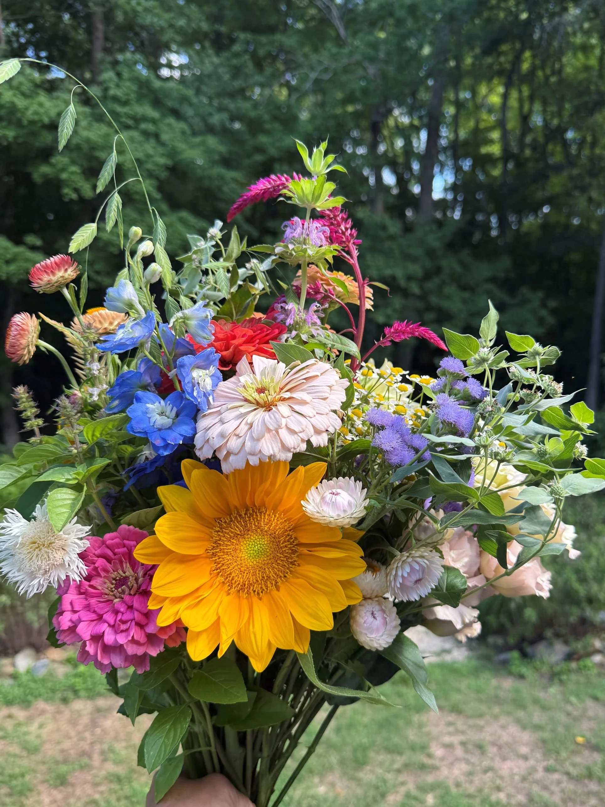 Bouquet_June302026.jpg