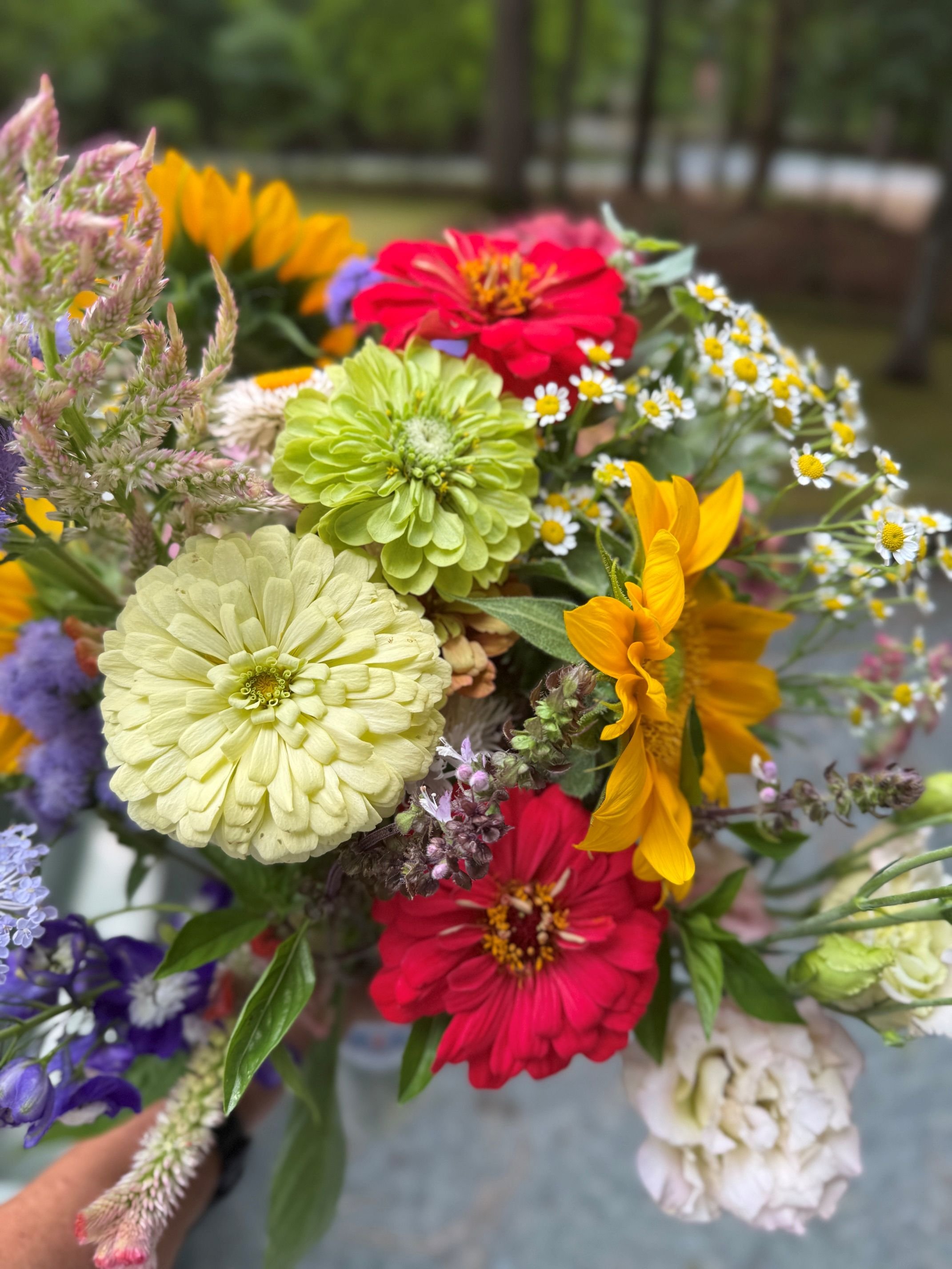 Jun232026_subscriber bouquet.jpg