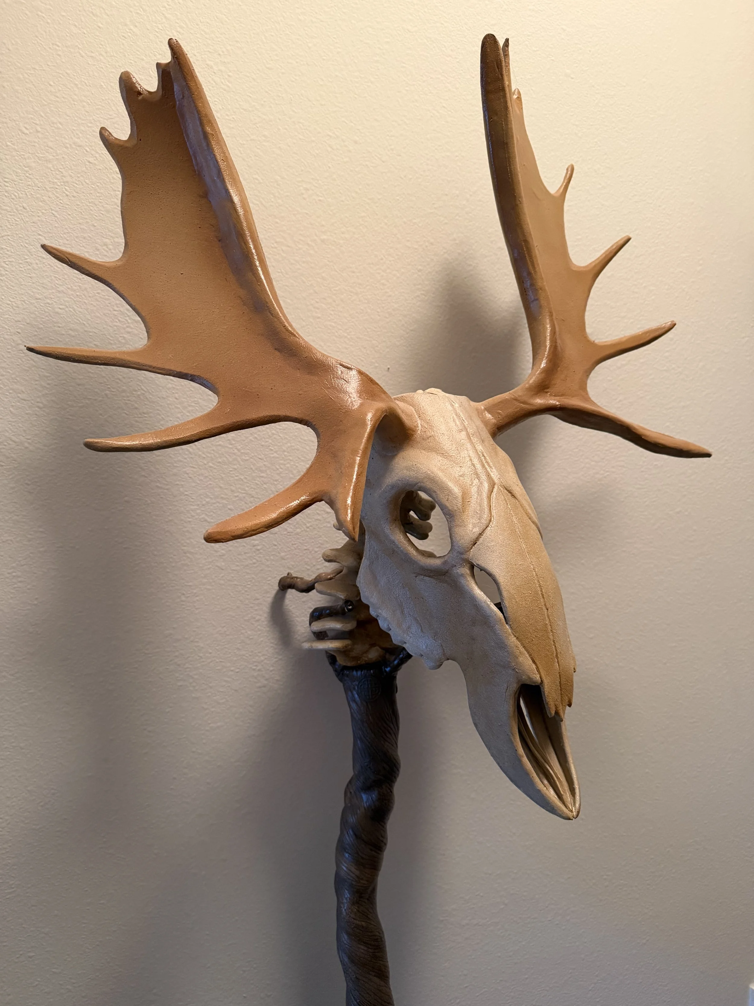BONE STUDY<span> Fabrication</span>