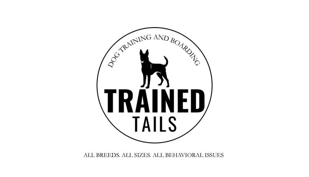 All breeds 
all sizes 
all behavioral issues 
Basic obedience 
leash walking 
sit stay 
down stay 
come when called 
recall 
listen better 
won't listen 
dog training 
dogs 
dog walking 
socialization 
tiny dogs 
small dogs 
big dogs 
vet visits 
