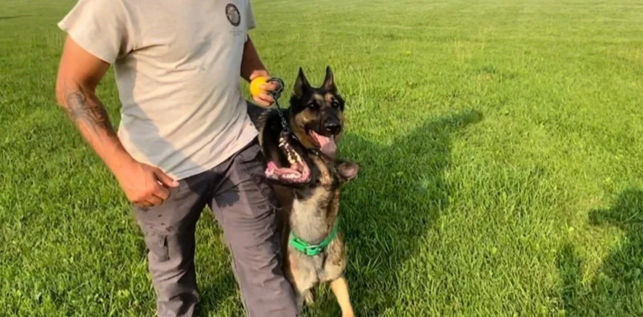 View recent photos.jpg