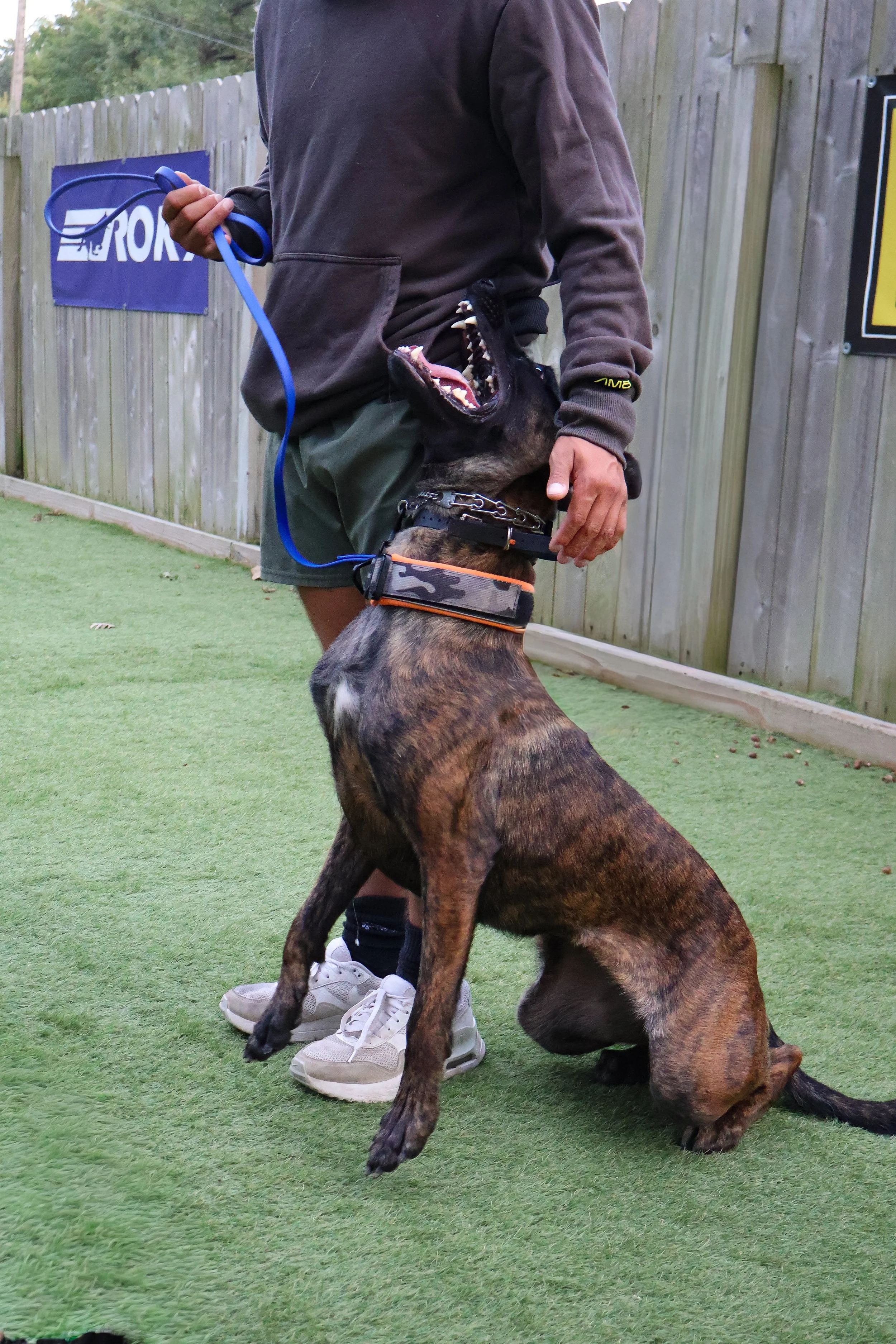 A woman with shoulder-length black hair, smiling, wearing a blue top, standing near green plants.