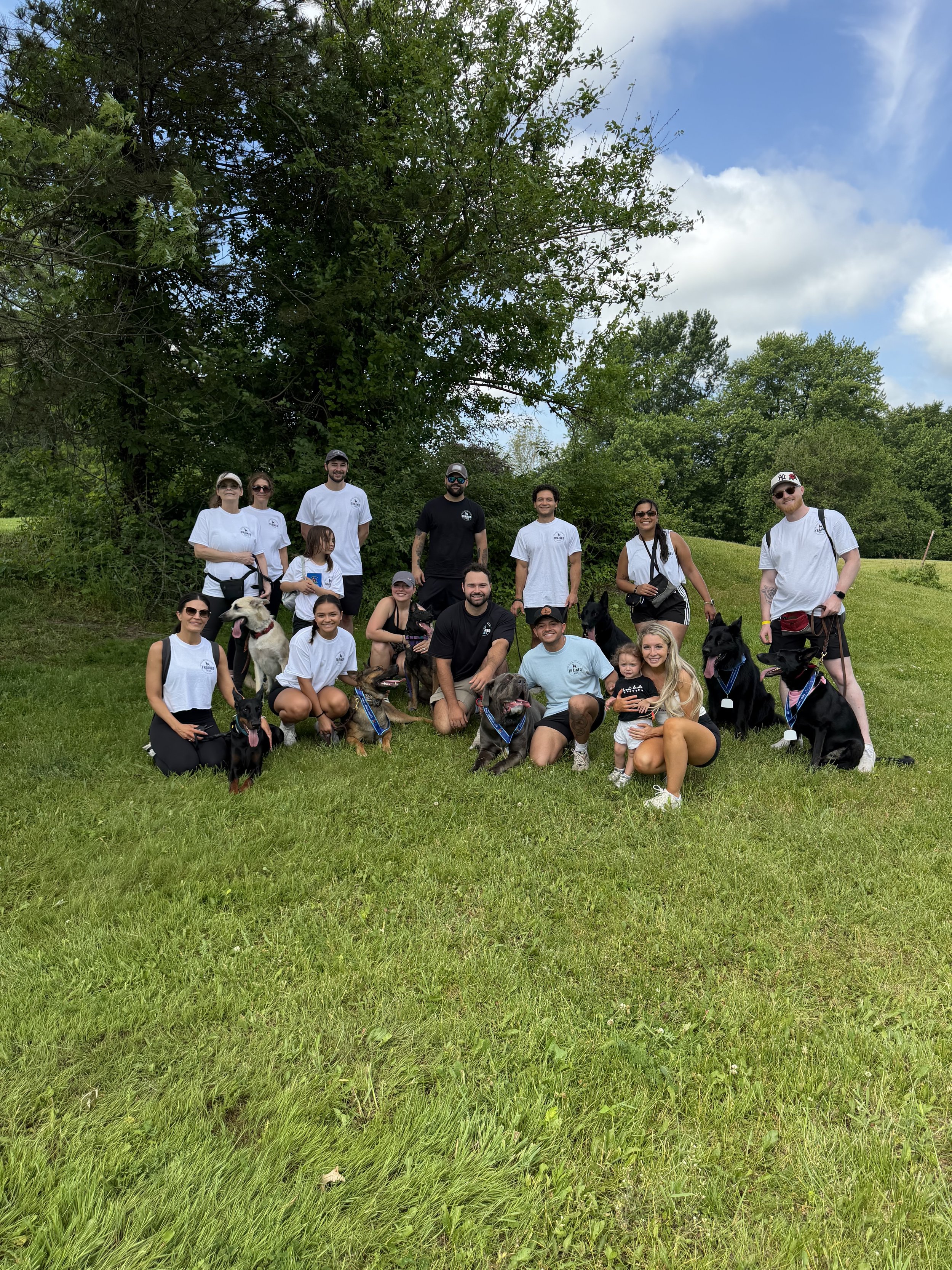 2k pet walk dog training in nwi