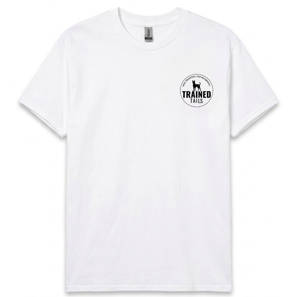 shirt3.png