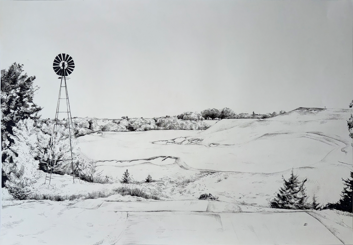Untitled, 2025, pen on paper, 20 x 30 in.