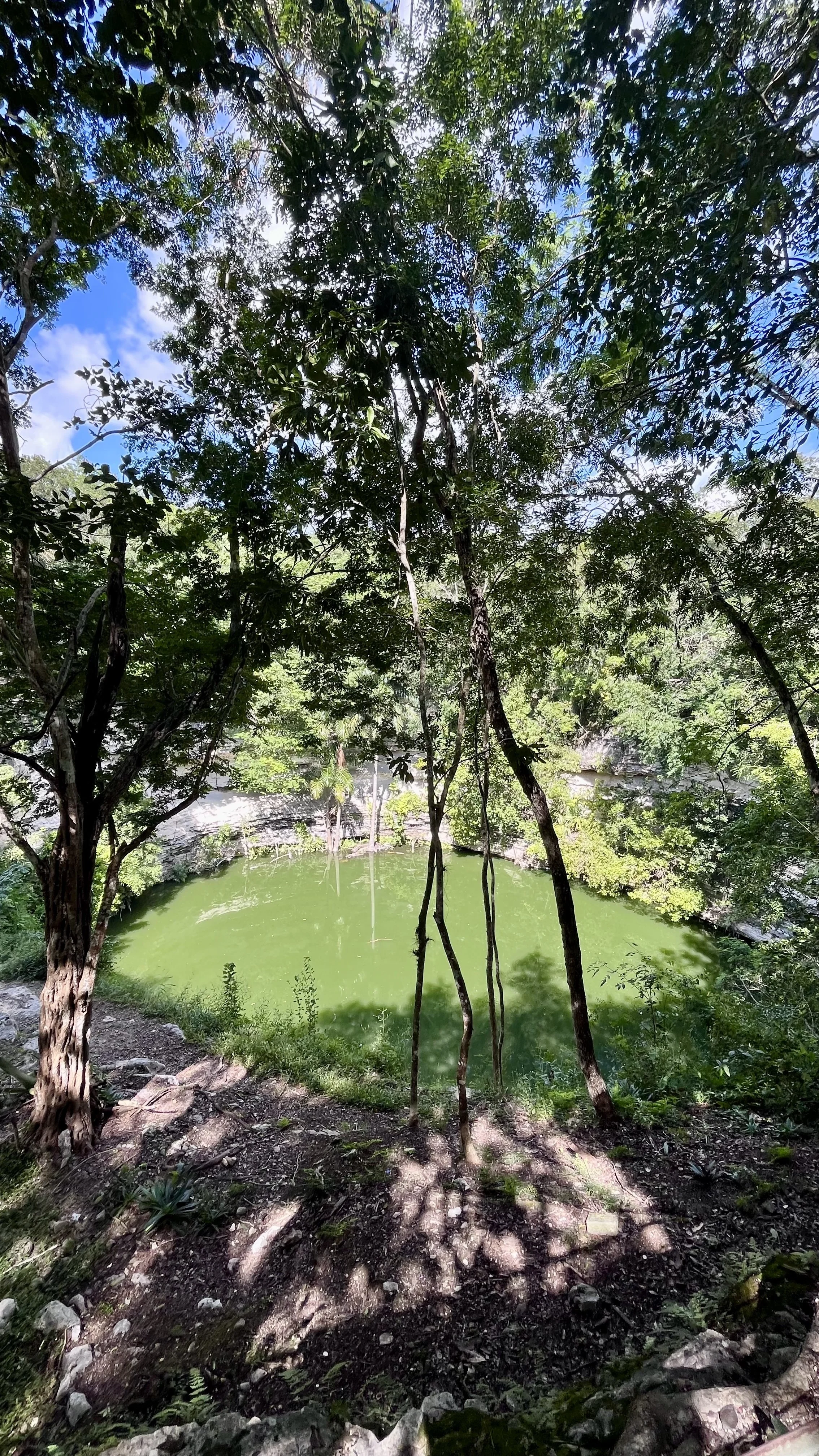 Cenote Sagrado