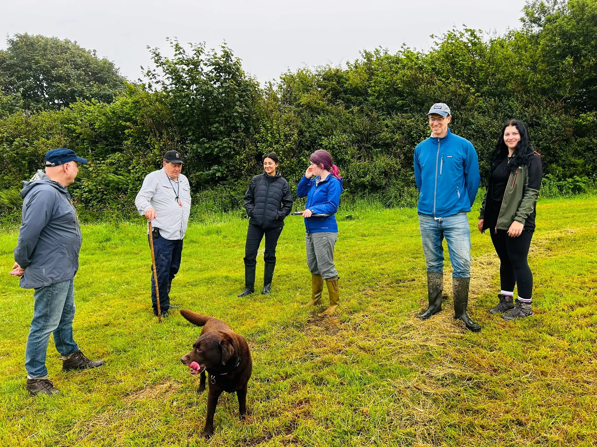 Biofarm ecology team on site at Lesnewth Habitat Bank, Cornwall.