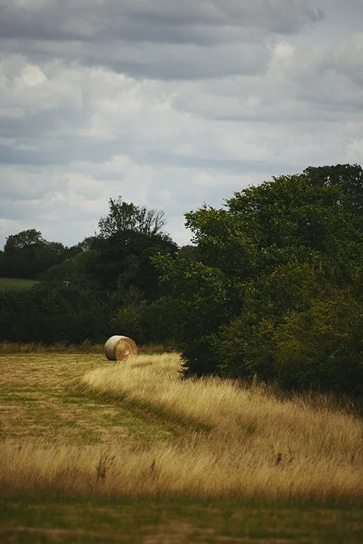 Building a network for nature: our sites and coverage
