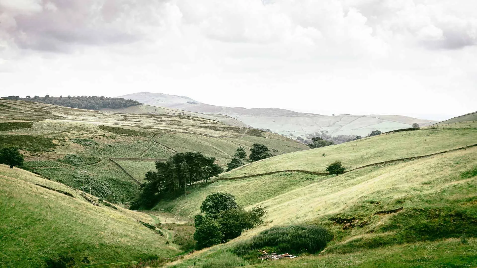 Ring-fenced funds: protecting your investment, protecting nature