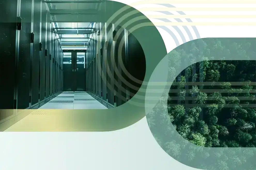 nLighten Partnership: Solutions based approach to BNG enables tech infrastructure development