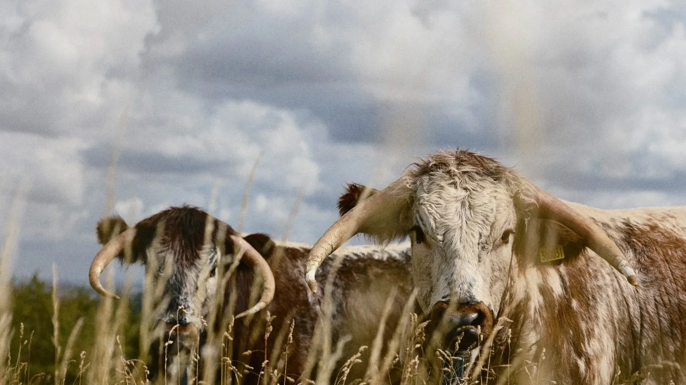 Beyond production: working with nature to strengthen food security