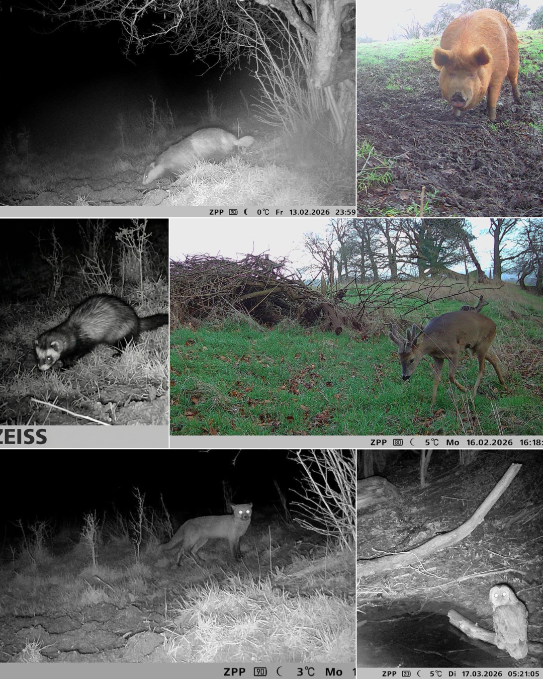 Biofarm habitat banks: early signs of ecological recovery&nbsp;