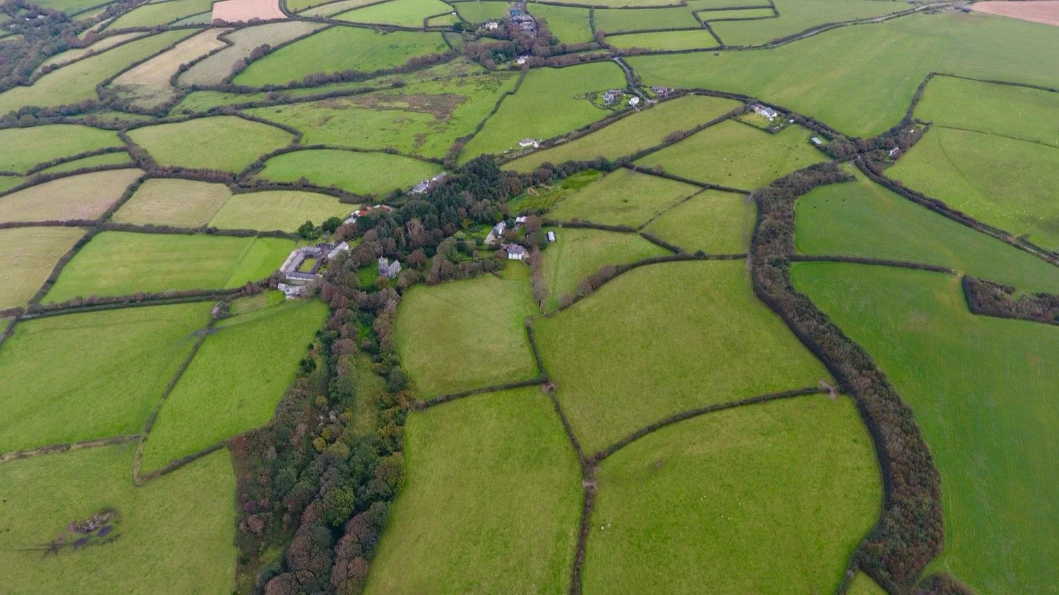 Biodiversity Net Gain and climate resilience: creating places that last