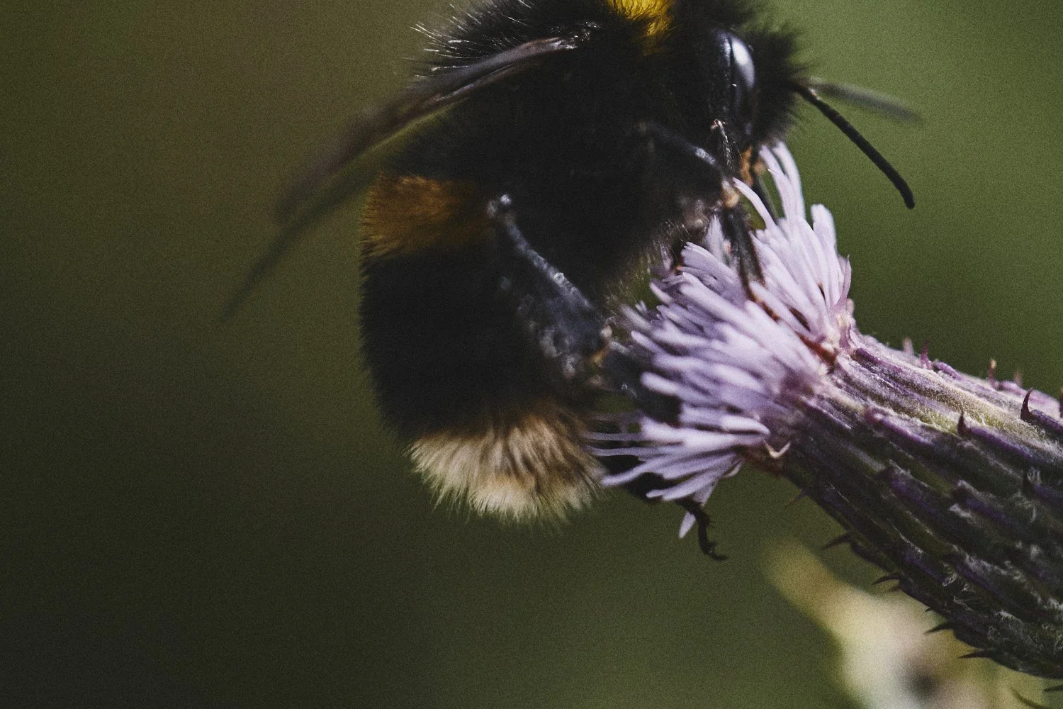 Nature is part of every supply chain