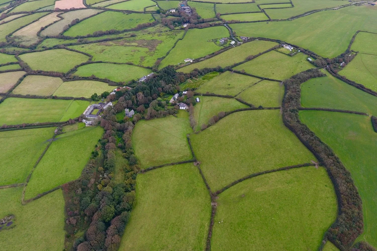 Avon Meadows
